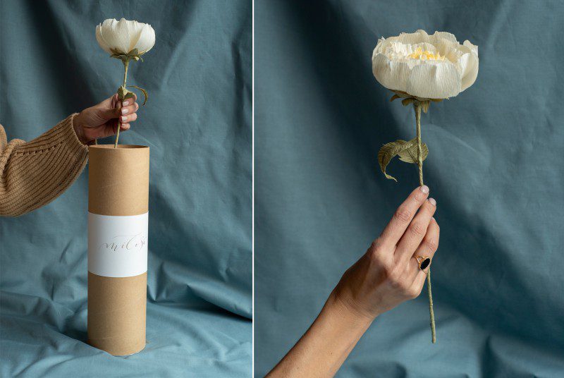 PEONY CREME + CARD - obrazek 1